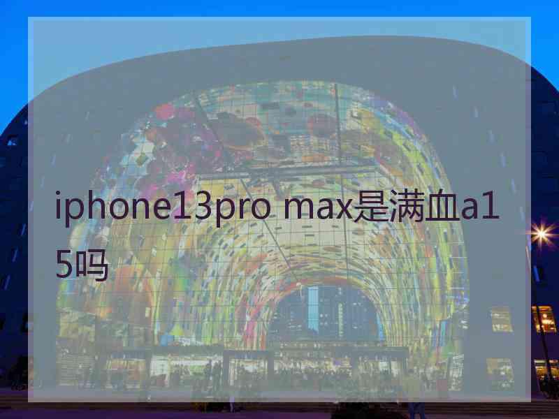 iphone13pro max是满血a15吗