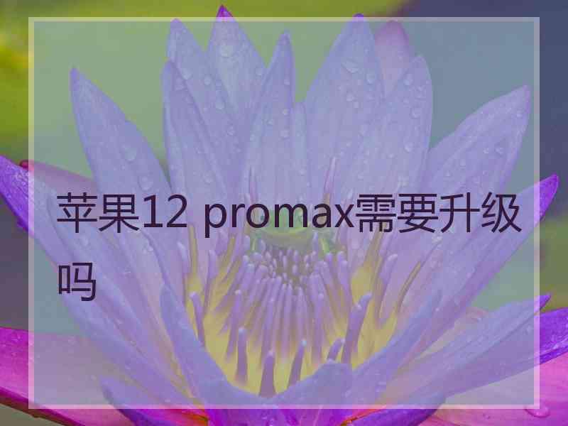 苹果12 promax需要升级吗