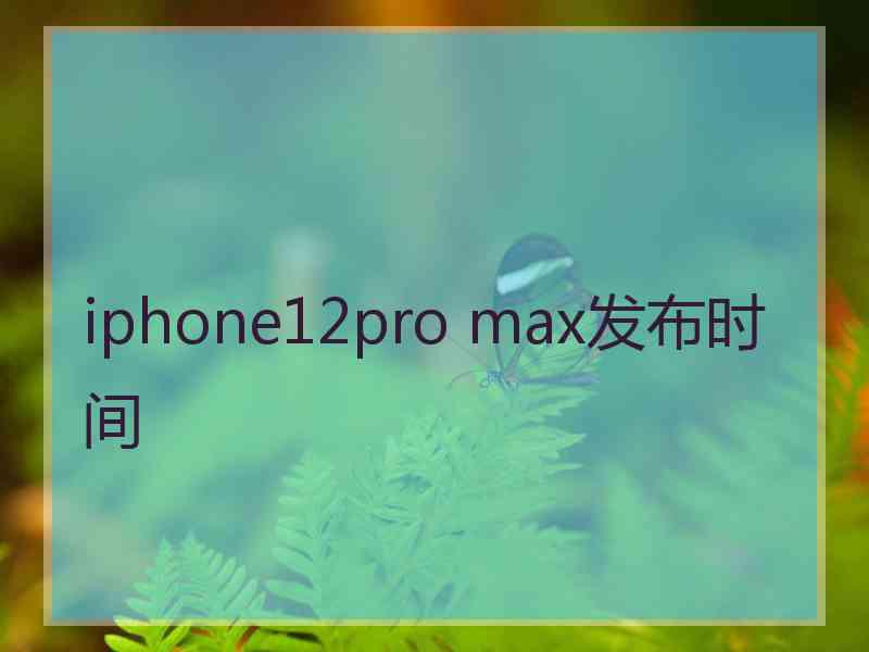 iphone12pro max发布时间