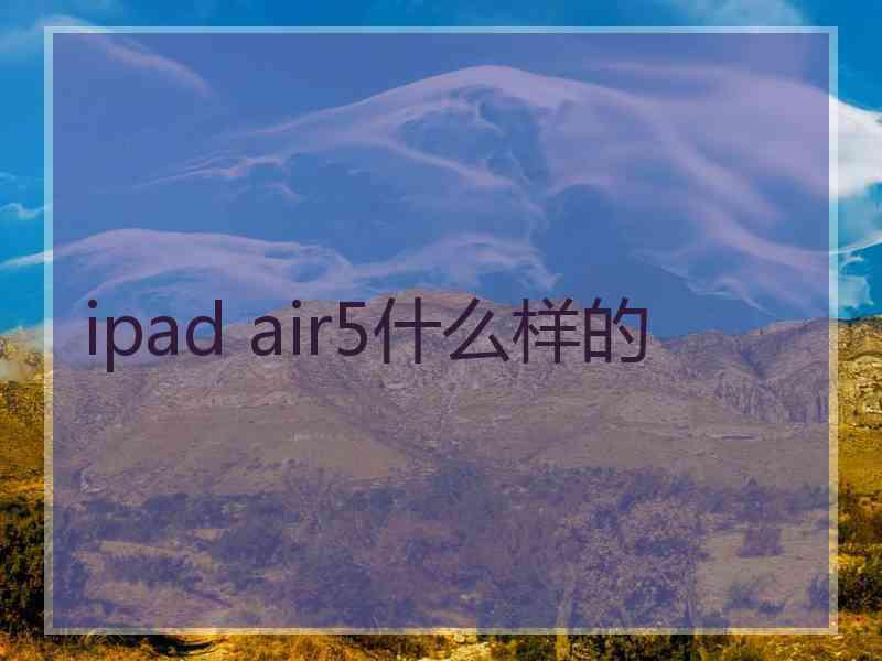 ipad air5什么样的