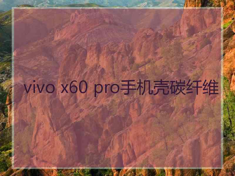 vivo x60 pro手机壳碳纤维