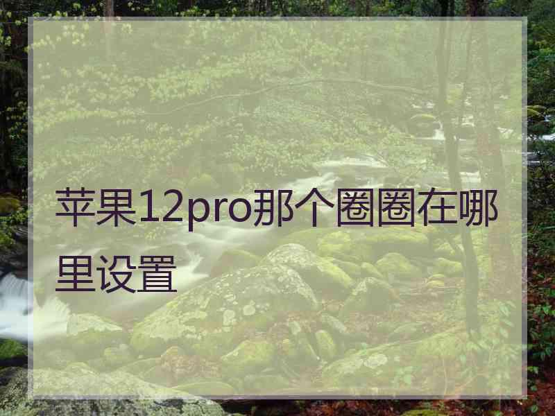 苹果12pro那个圈圈在哪里设置