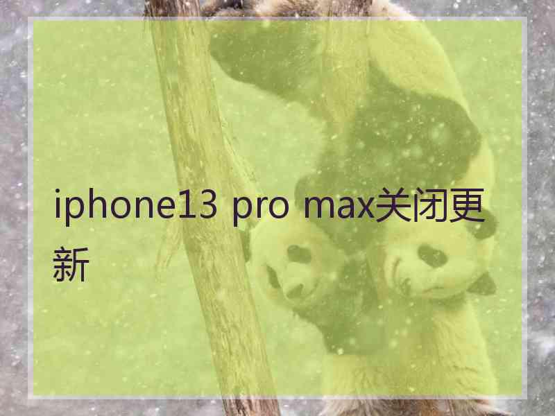 iphone13 pro max关闭更新