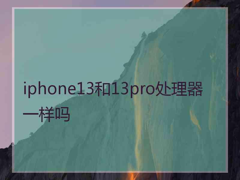 iphone13和13pro处理器一样吗