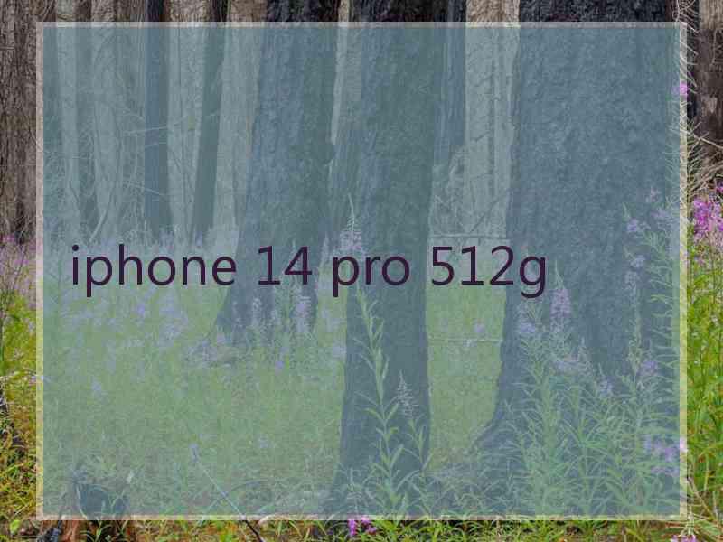 iphone 14 pro 512g