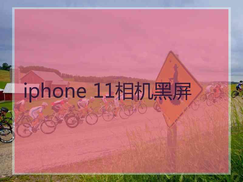 iphone 11相机黑屏