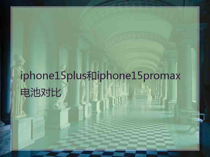 iphone15plus和iphone15promax电池对比