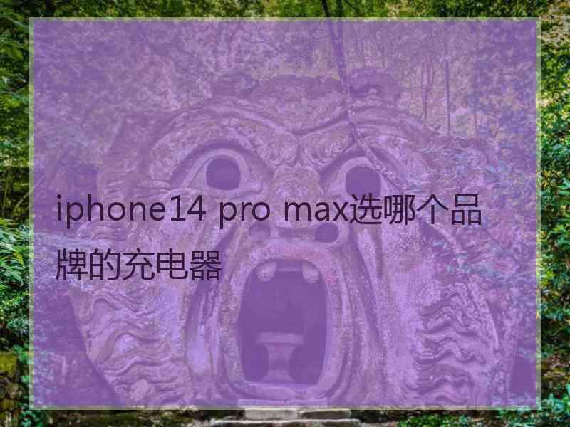 iphone14 pro max选哪个品牌的充电器