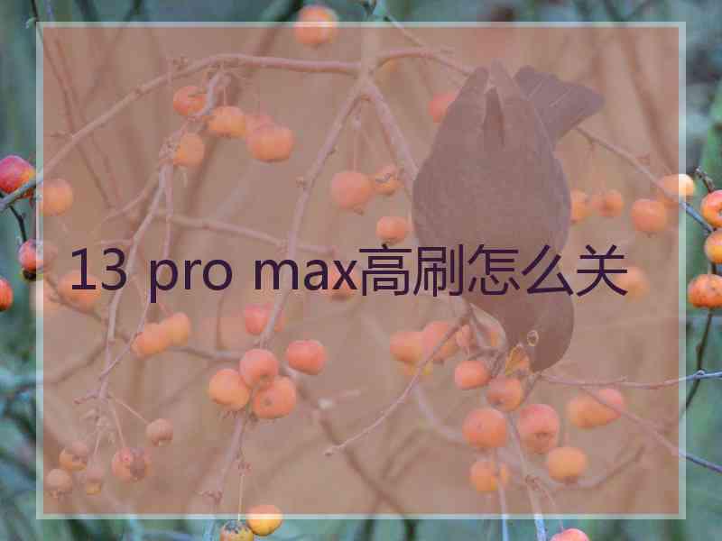 13 pro max高刷怎么关