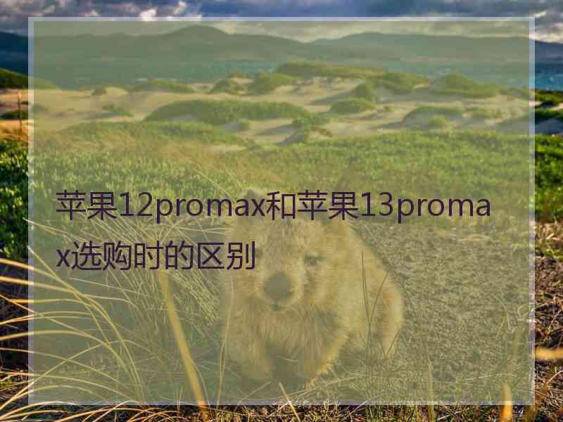 苹果12promax和苹果13promax选购时的区别