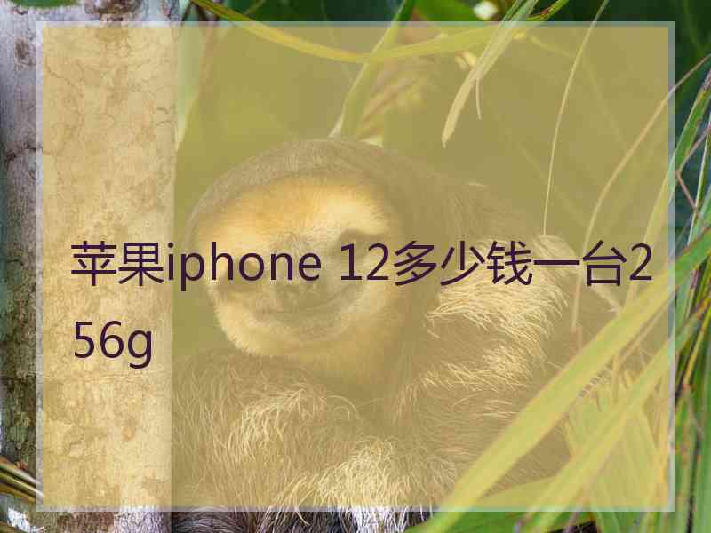 苹果iphone 12多少钱一台256g