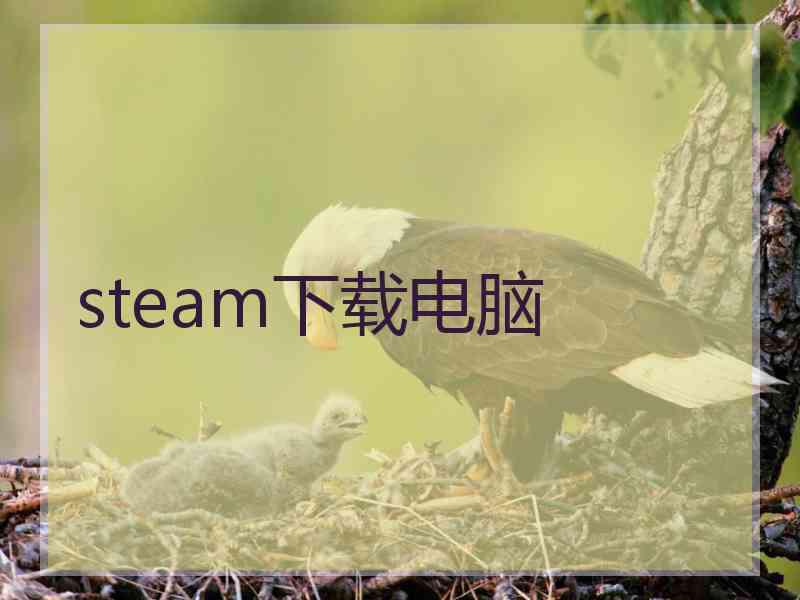 steam下载电脑