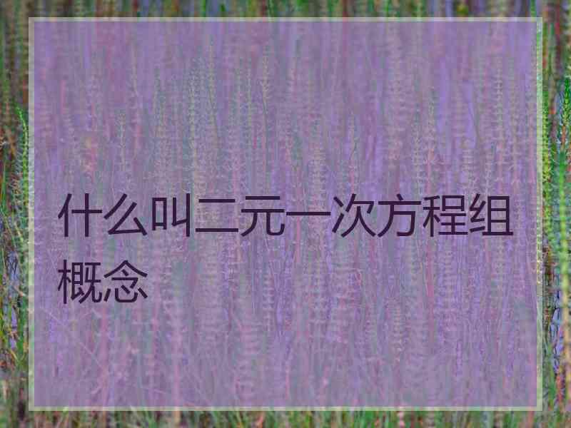 什么叫二元一次方程组概念