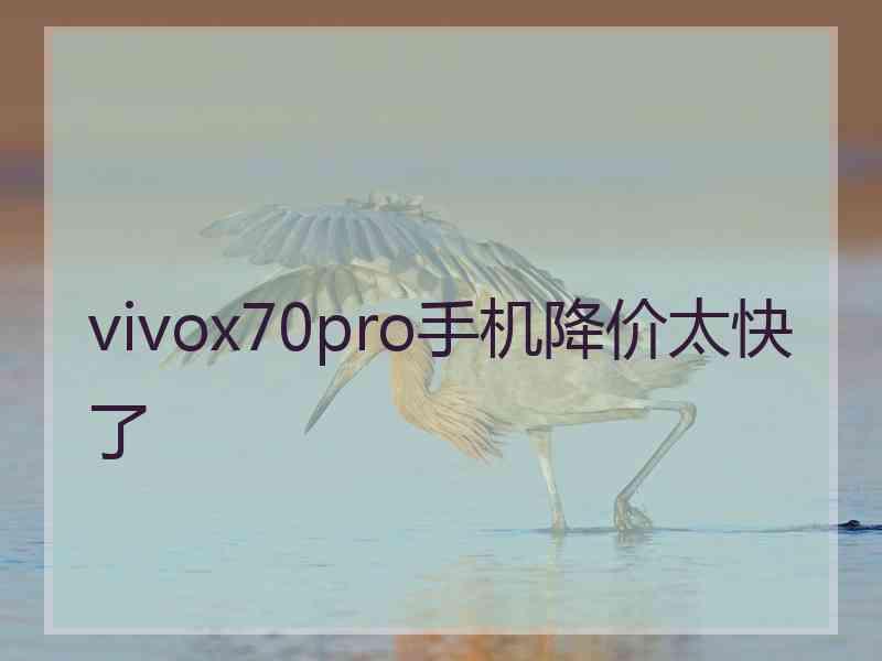 vivox70pro手机降价太快了