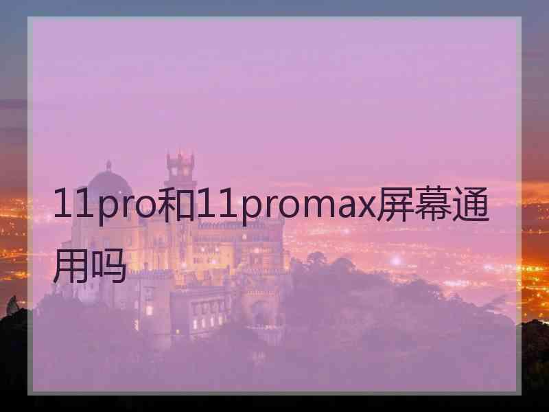 11pro和11promax屏幕通用吗