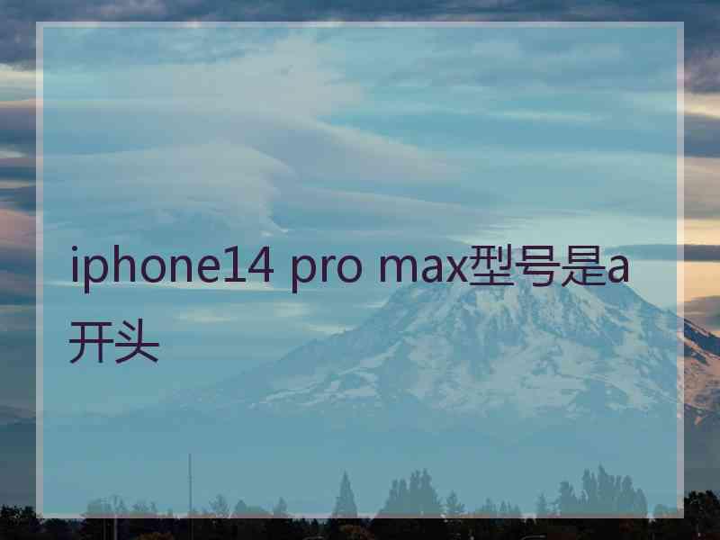 iphone14 pro max型号是a开头