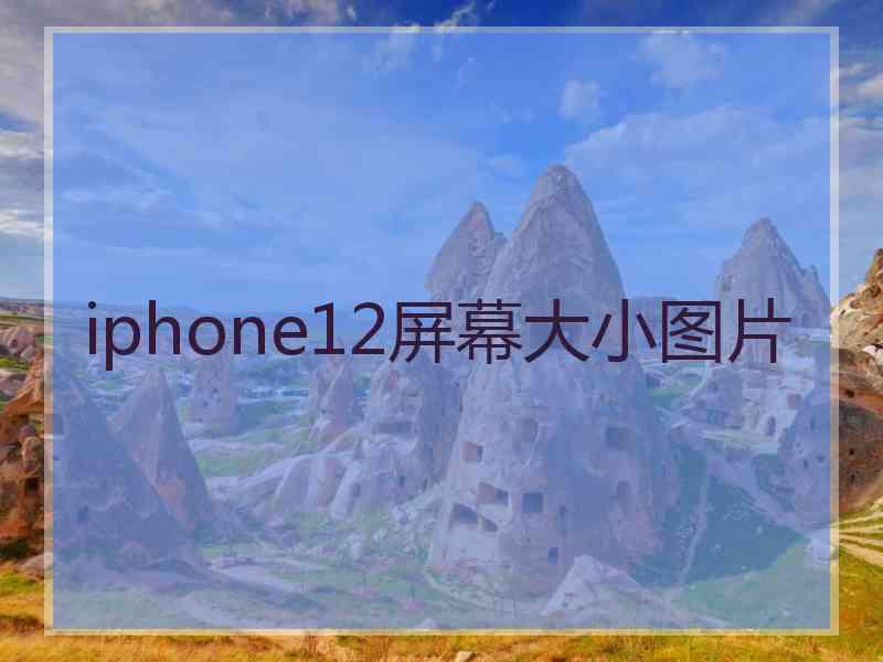 iphone12屏幕大小图片