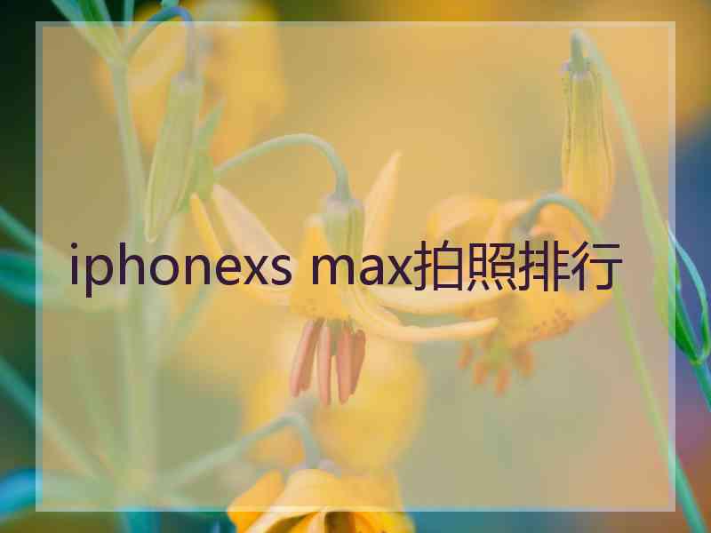 iphonexs max拍照排行