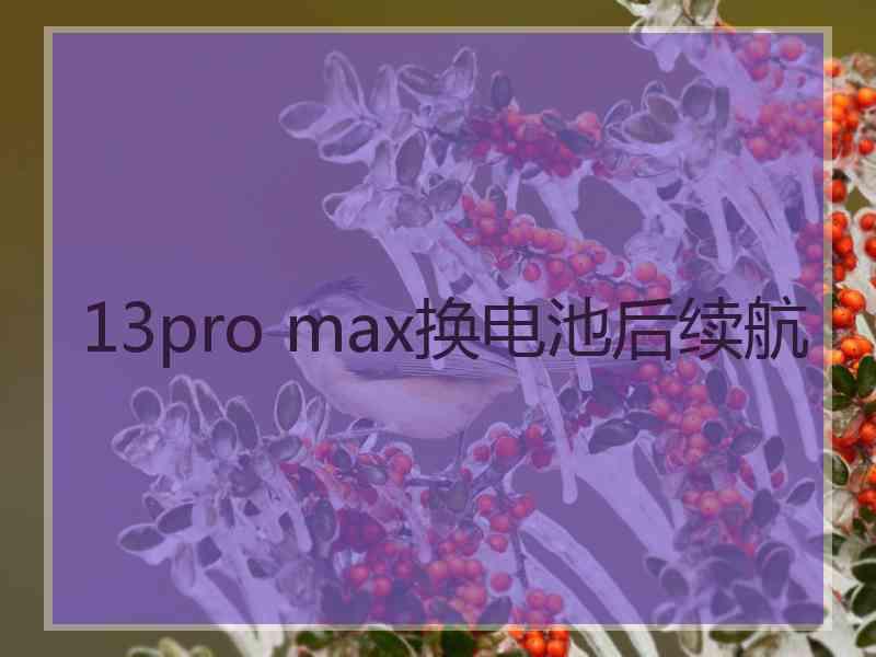 13pro max换电池后续航