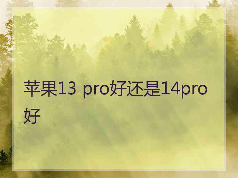 苹果13 pro好还是14pro好