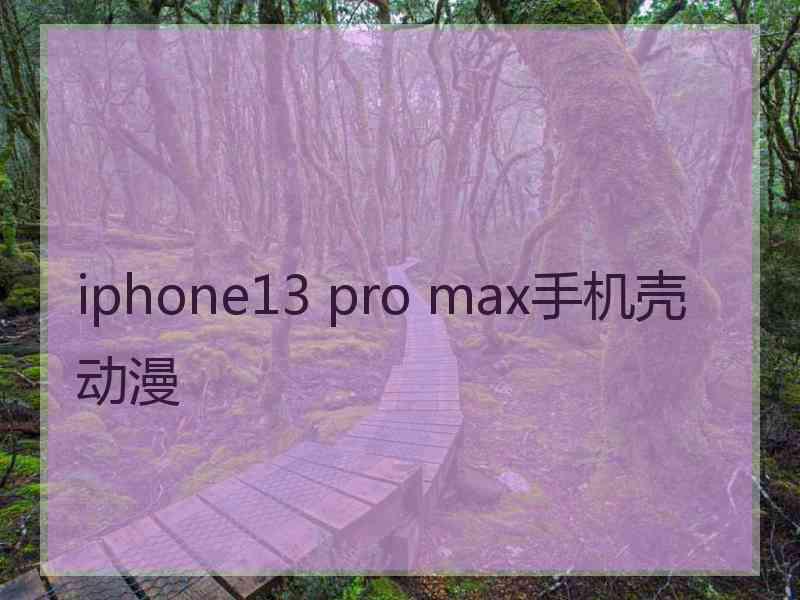 iphone13 pro max手机壳动漫