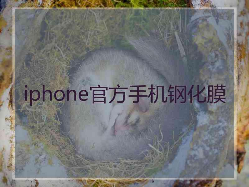 iphone官方手机钢化膜