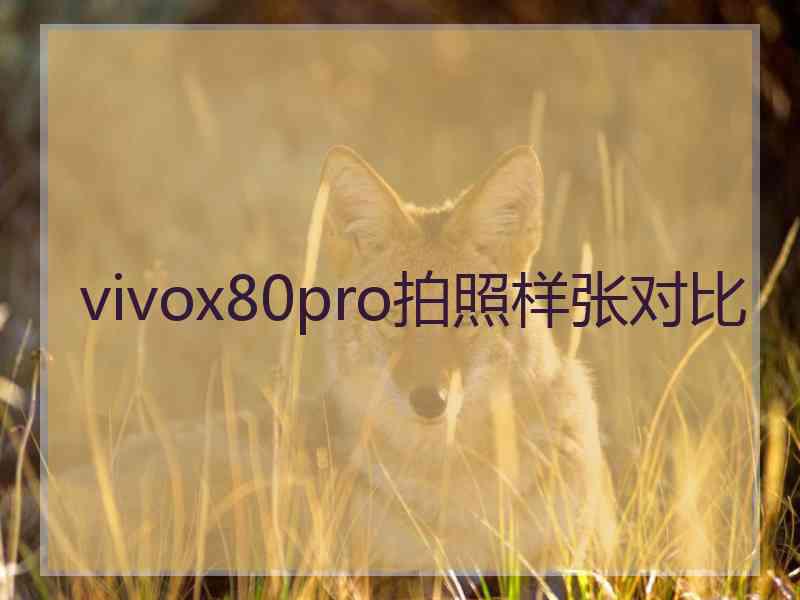 vivox80pro拍照样张对比