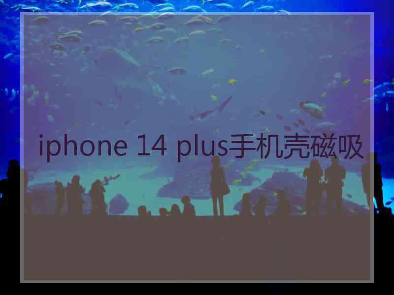 iphone 14 plus手机壳磁吸