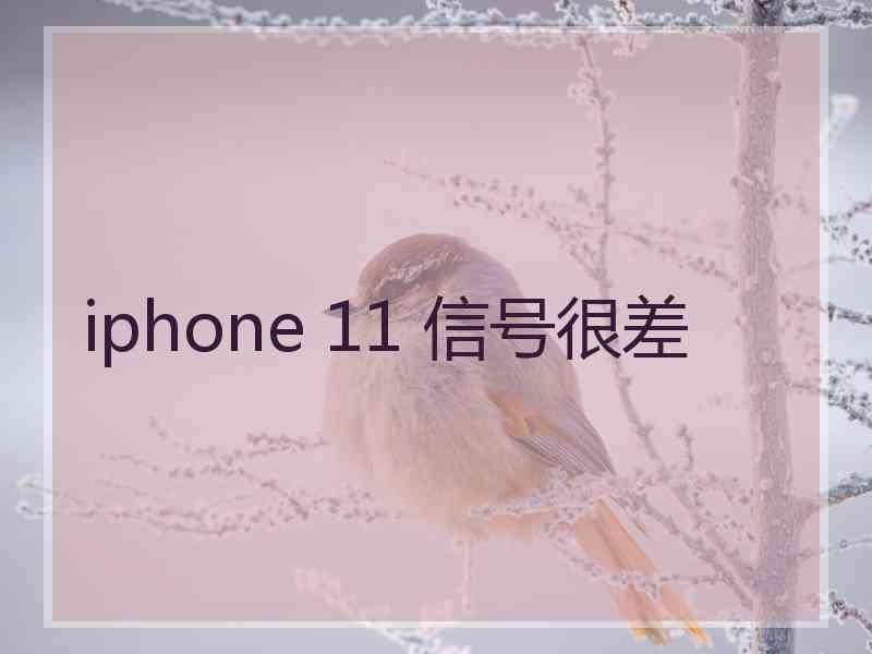 iphone 11 信号很差