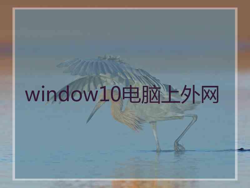 window10电脑上外网