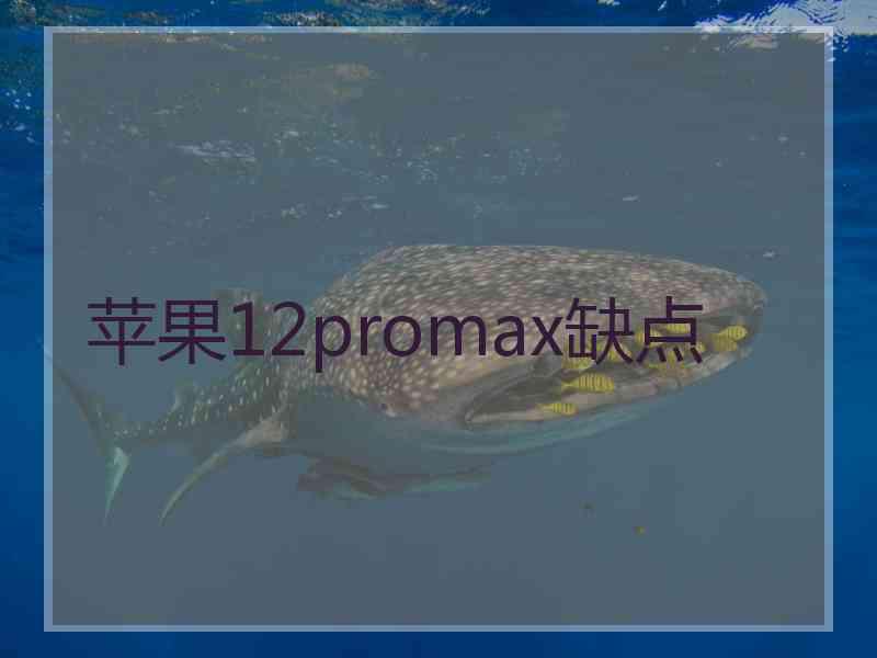 苹果12promax缺点