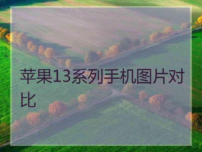 苹果13系列手机图片对比