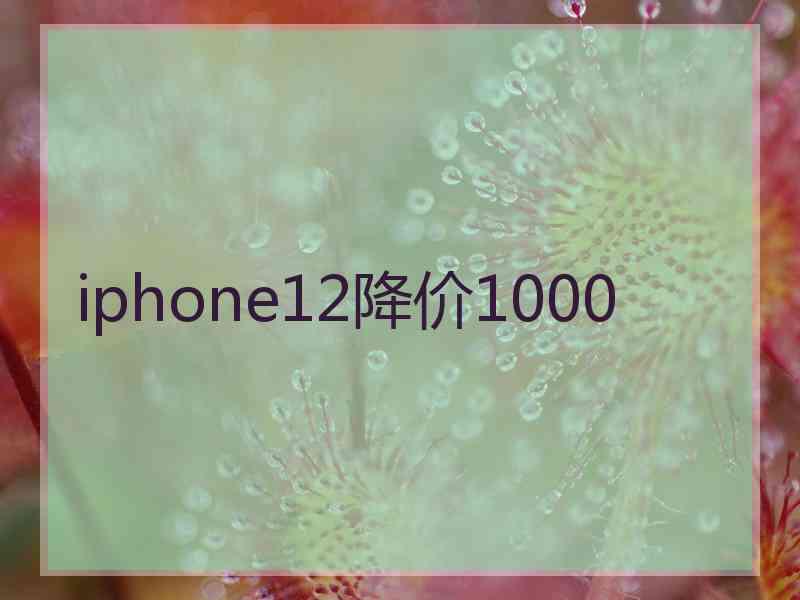 iphone12降价1000