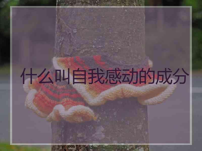 什么叫自我感动的成分