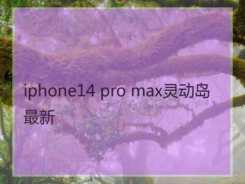 iphone14 pro max灵动岛最新