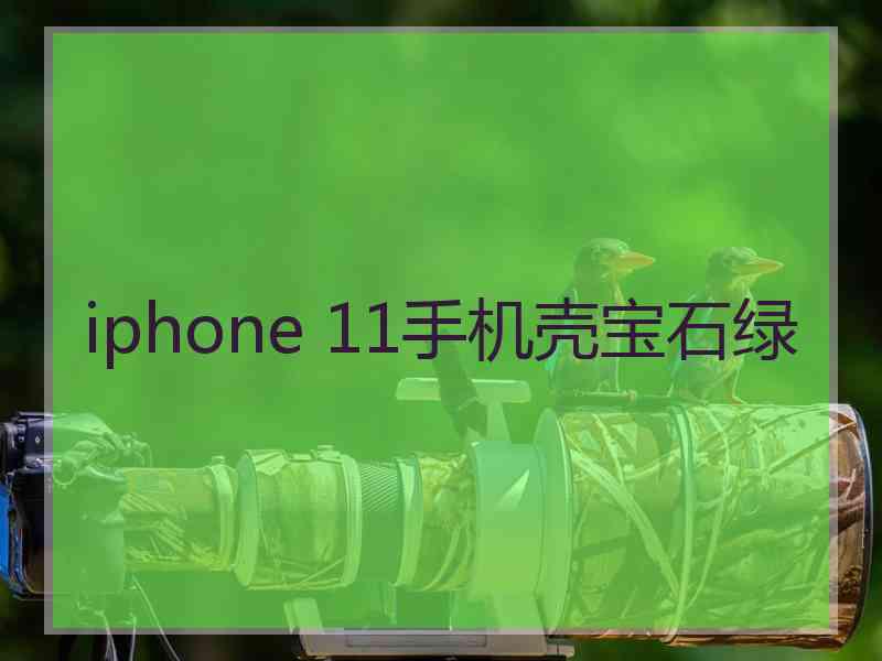 iphone 11手机壳宝石绿