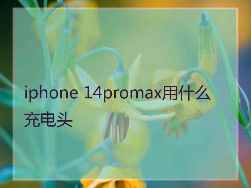 iphone 14promax用什么充电头