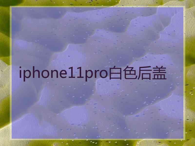 iphone11pro白色后盖