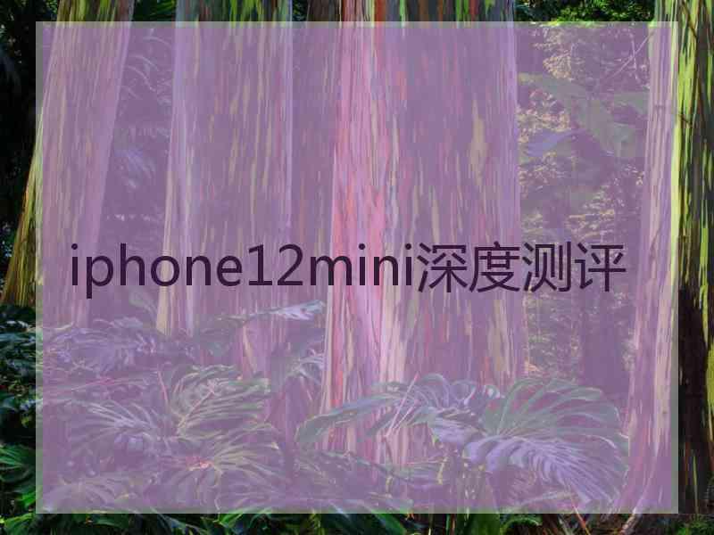 iphone12mini深度测评