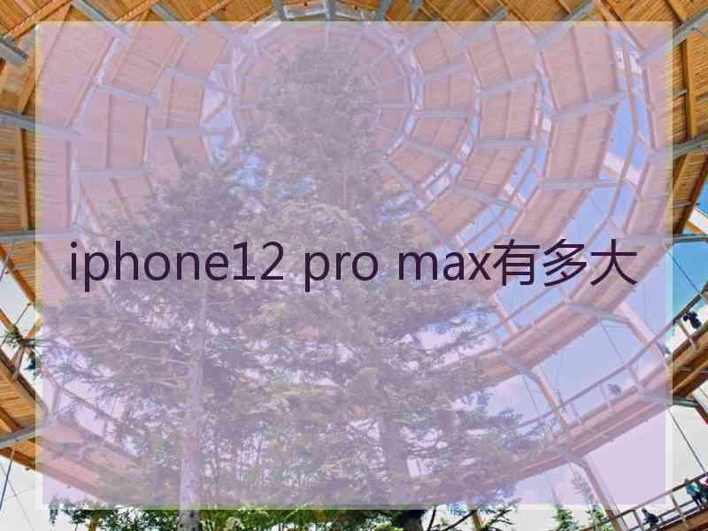 iphone12 pro max有多大