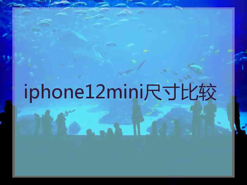 iphone12mini尺寸比较