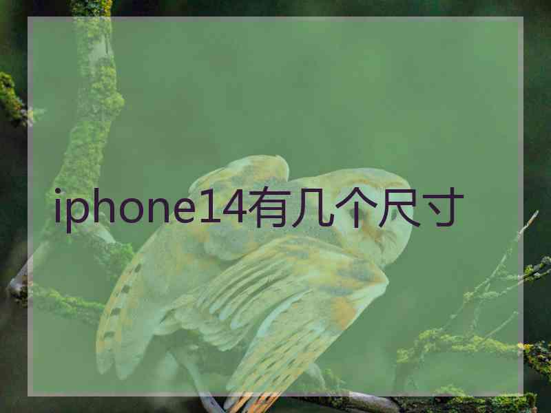 iphone14有几个尺寸