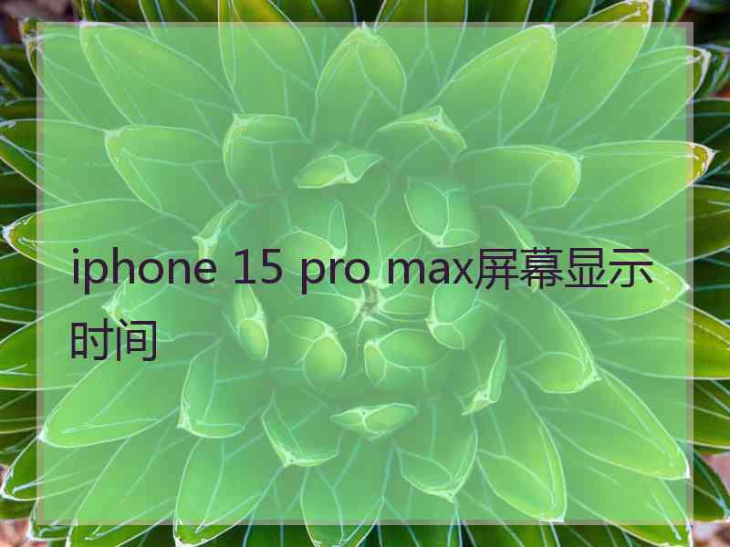 iphone 15 pro max屏幕显示时间