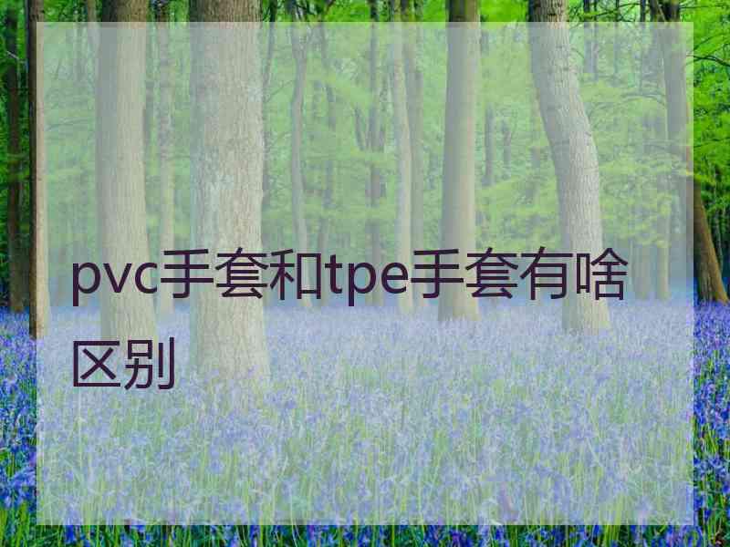 pvc手套和tpe手套有啥区别