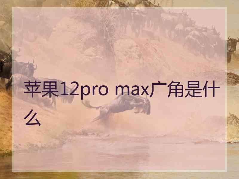 苹果12pro max广角是什么