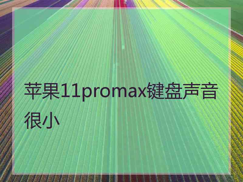 苹果11promax键盘声音很小