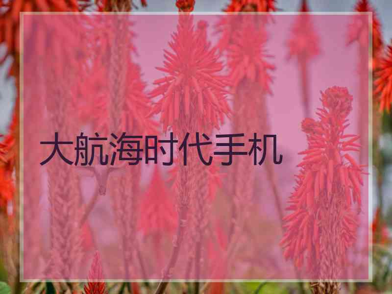 大航海时代手机