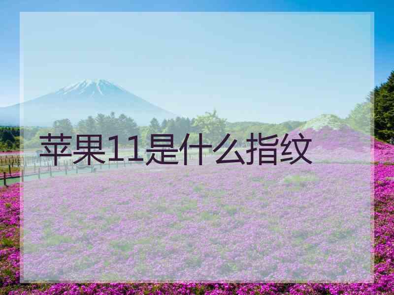 苹果11是什么指纹