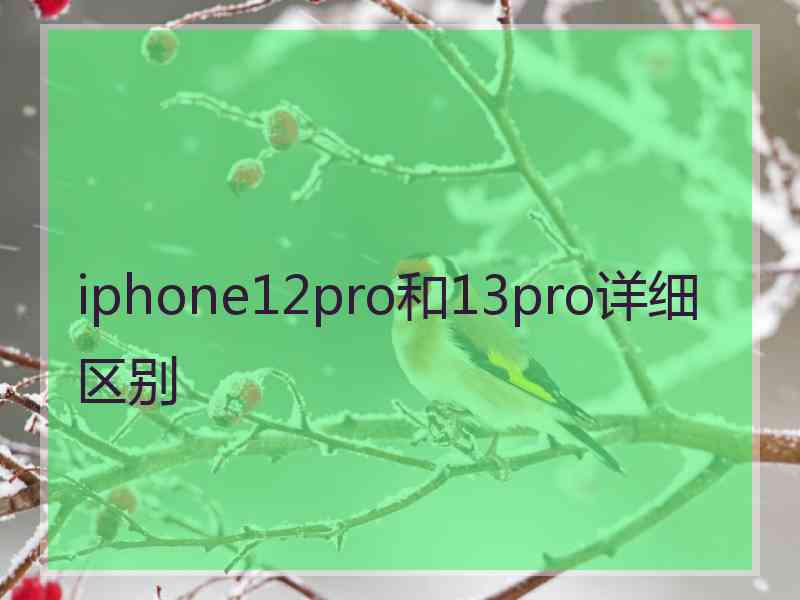 iphone12pro和13pro详细区别