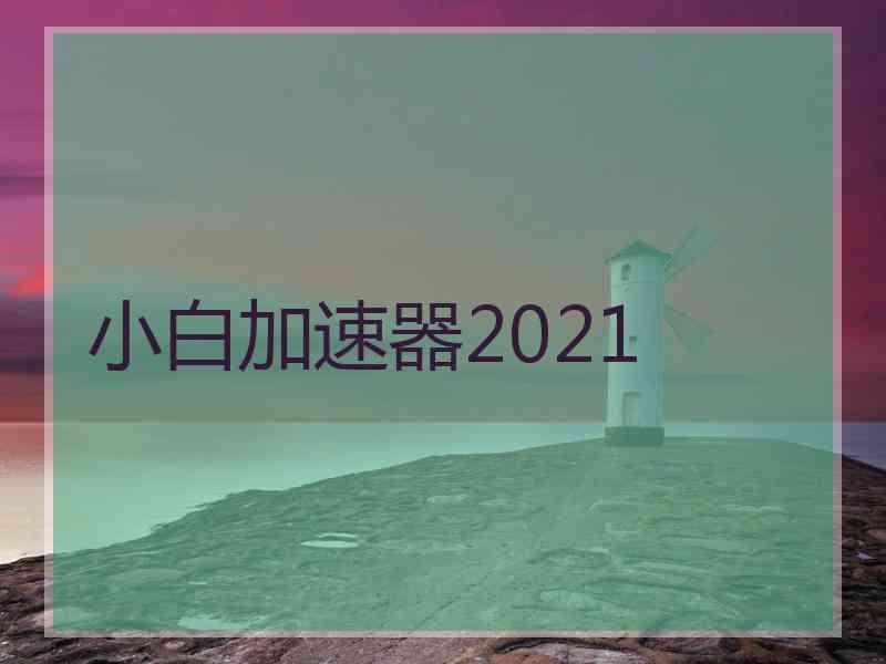 小白加速器2021